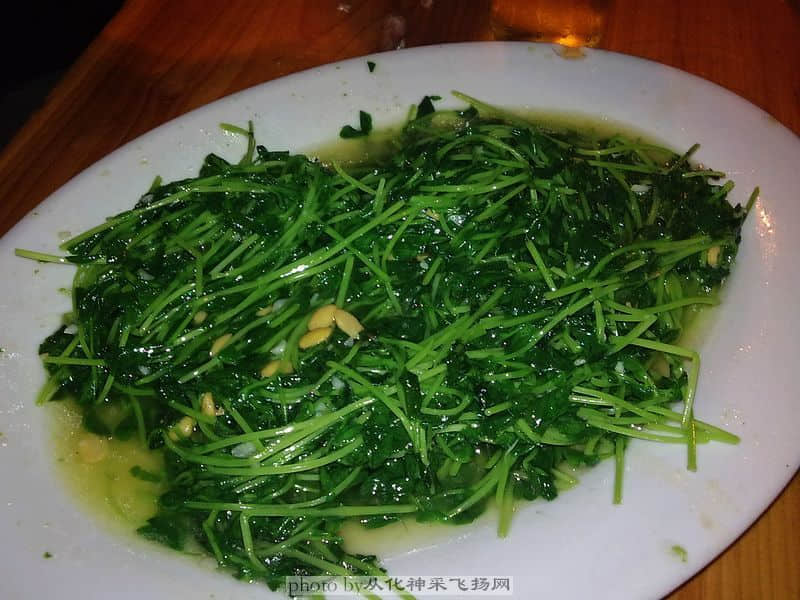20081105223.jpg