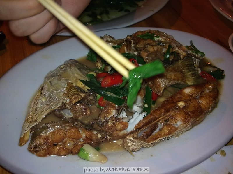 20081105224.jpg