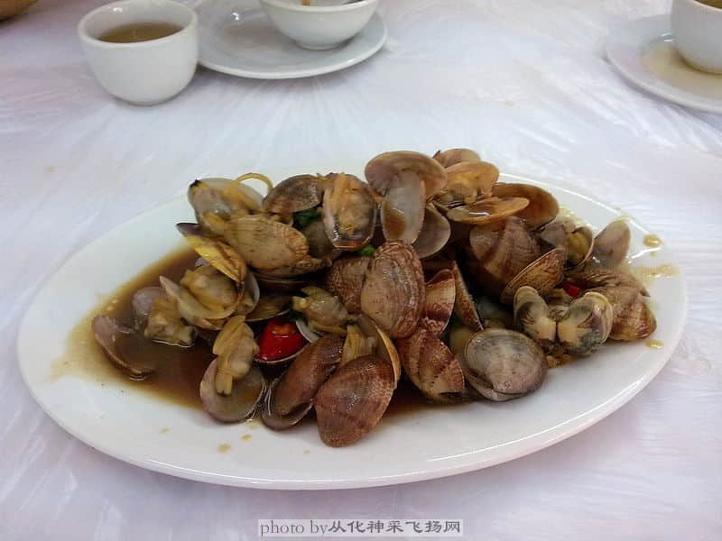 20081105201.jpg