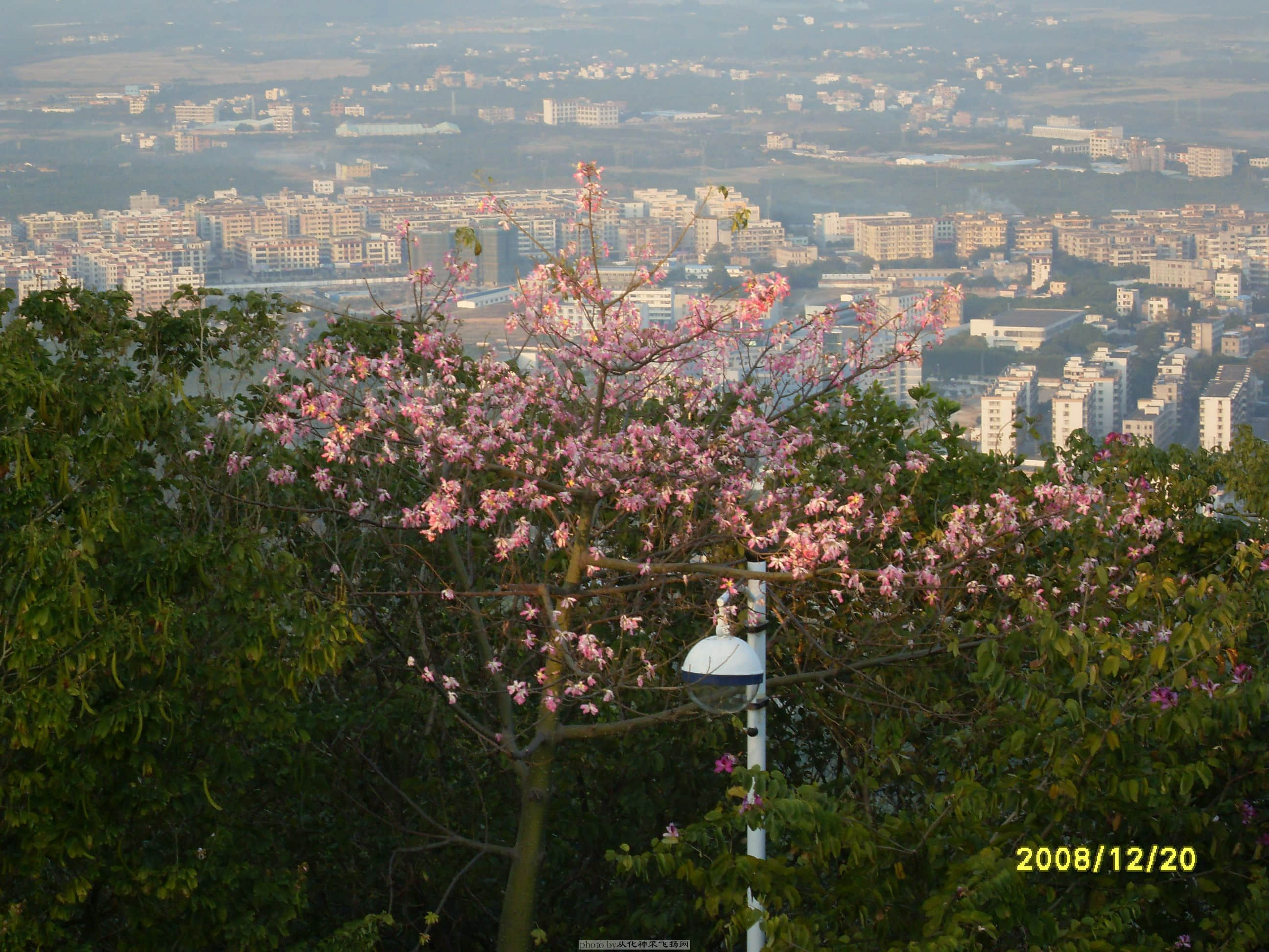 SDC10517.JPG