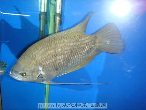 DSC06599.jpg