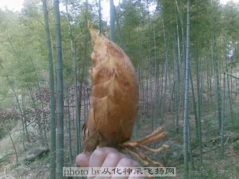 调整大小 图像063.jpg