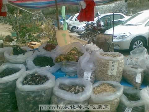 土特产