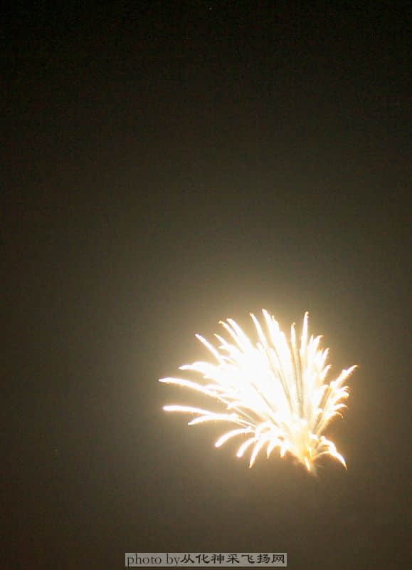 IMG_9453.JPG