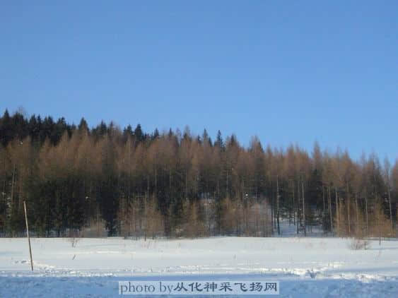 调整大小 P1080762.JPG