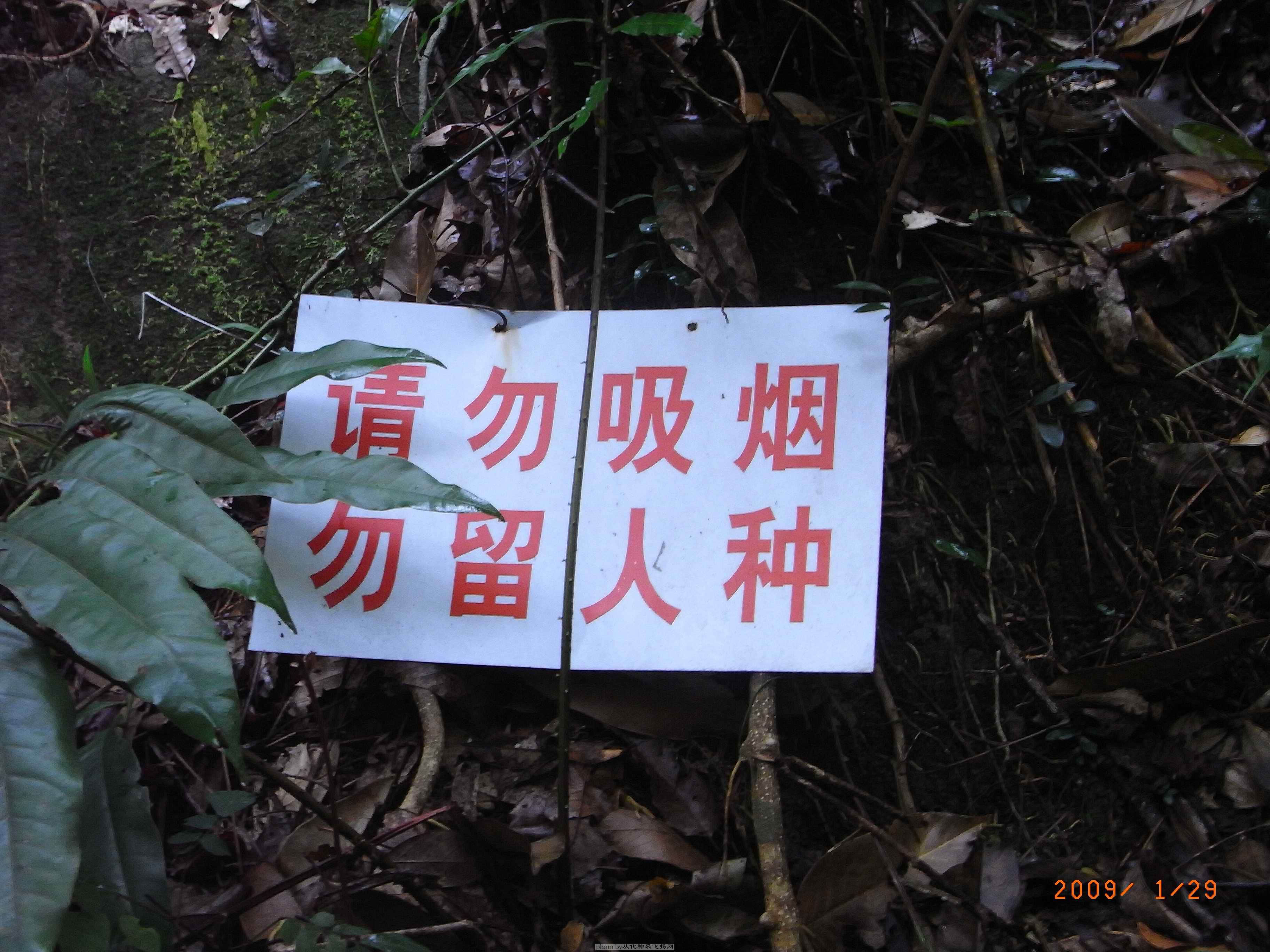 RIMG0855.jpg