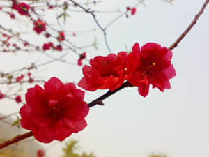 20090211434.jpg