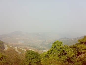 20090211425.jpg