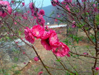 20090211427.jpg