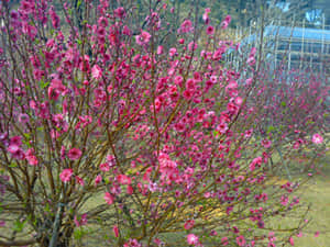 20090211429.jpg