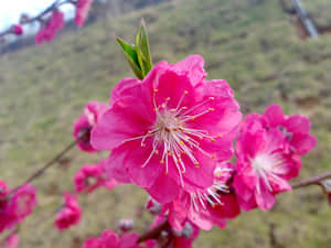 20090211438.jpg