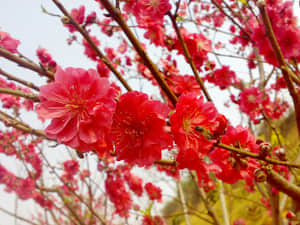 20090211436.jpg