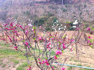 20090211457.jpg