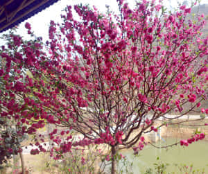 20090211446.jpg