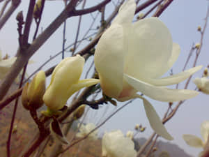 20090211449.jpg