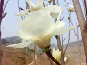 20090211450.jpg