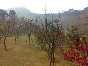 20090211454.jpg