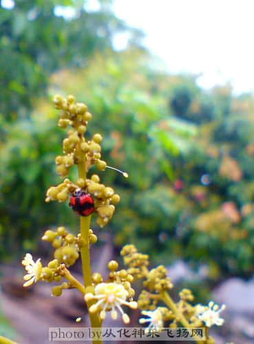 DSC00106.JPG