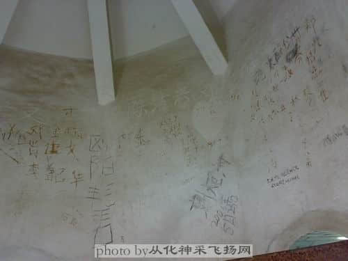 天花也别错过