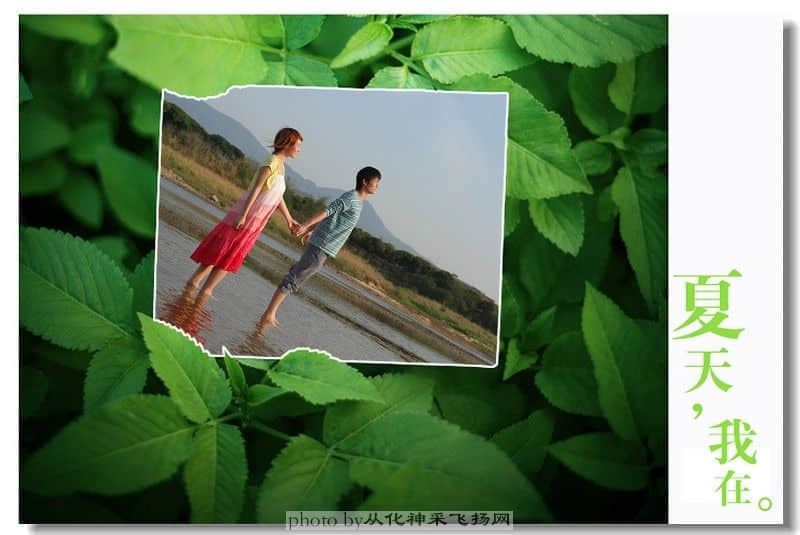 飞扬3.jpg
