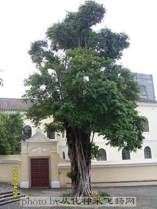 SDC11375.JPG