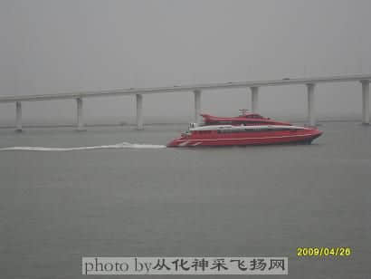 SDC11483.JPG
