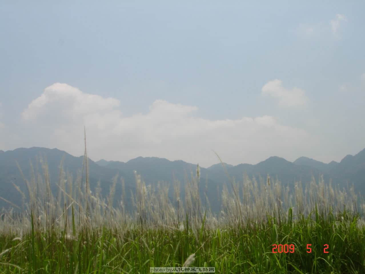 DSC09078a.jpg
