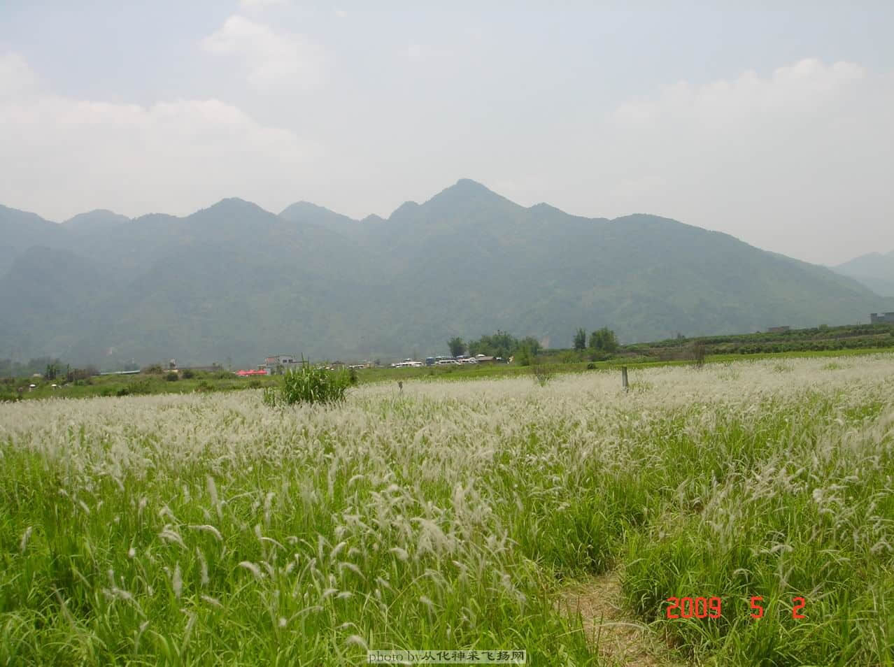 DSC09082a.jpg