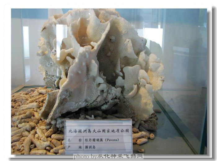 照片 315.jpg