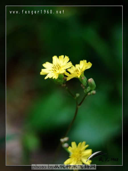 DSC_0053.jpg