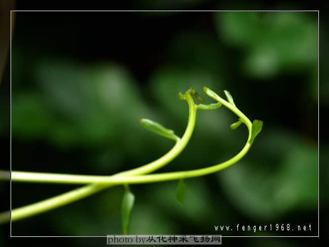 DSC_0064.jpg