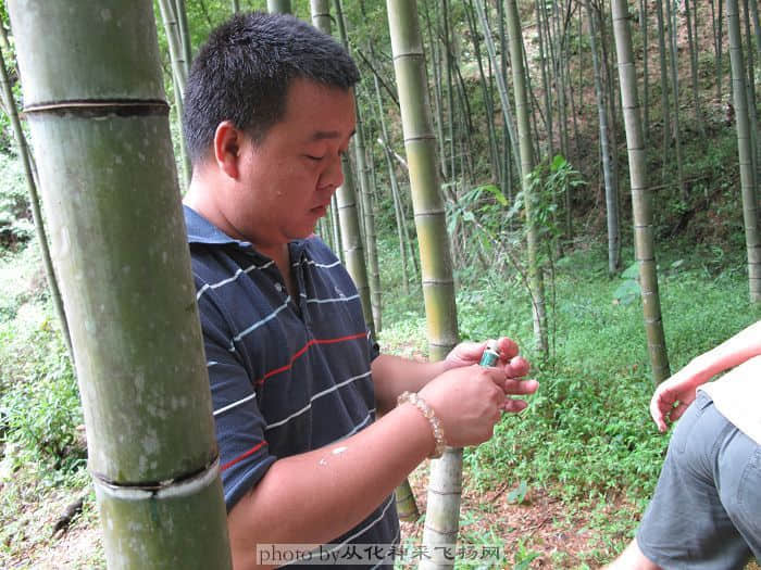 搽上防蚊膏，蚊子无从下手