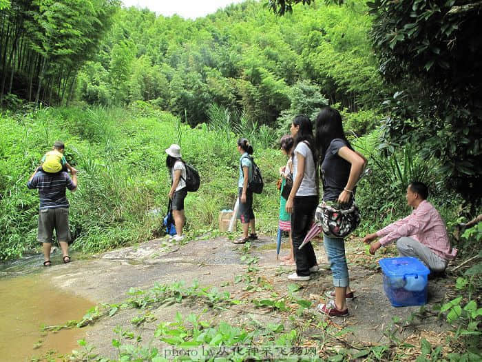 要过小溪了