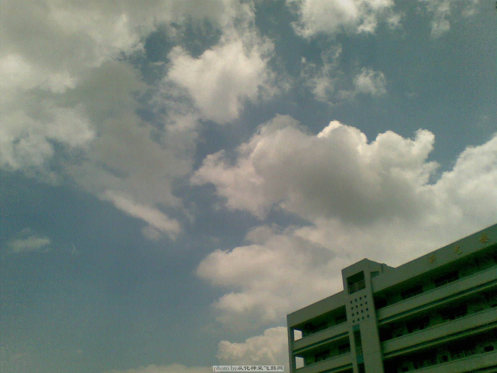 20090617(002).jpg