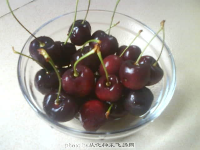 DSC00226.JPG
