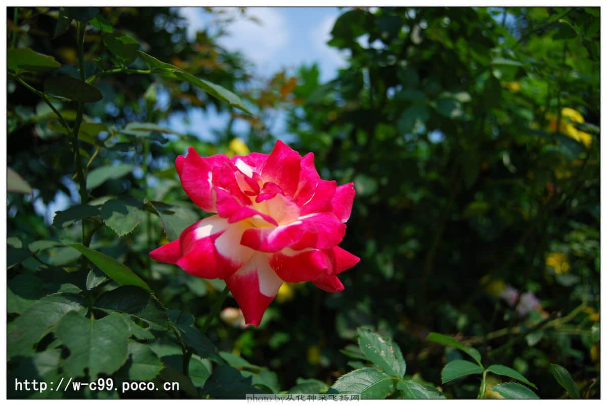 nEO_IMG_DSC_0309副本.jpg