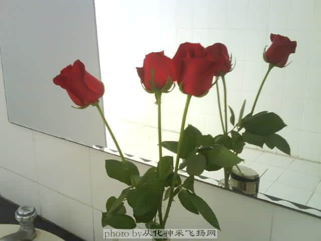 DSC00273.JPG