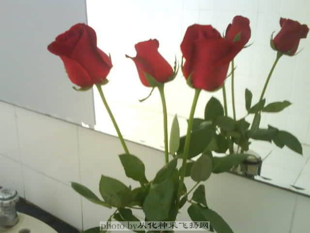 DSC00272.JPG