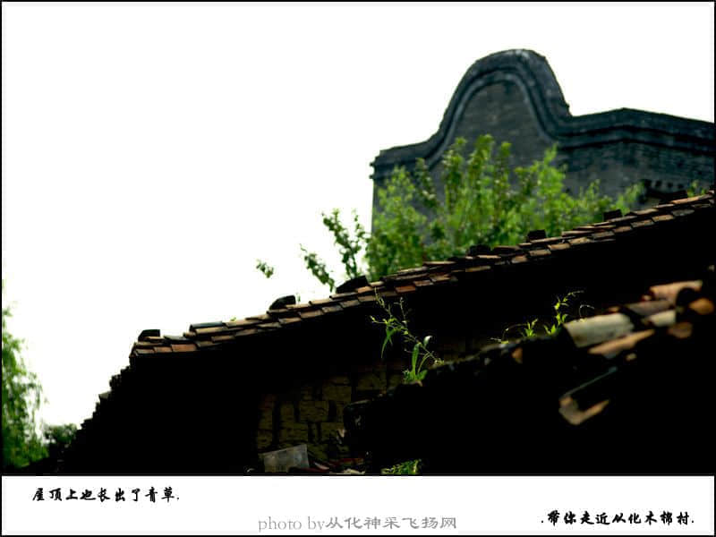 未标题-9.jpg