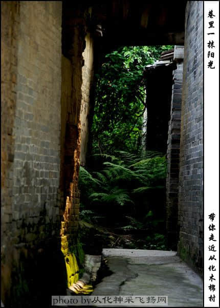 未标题-10.jpg