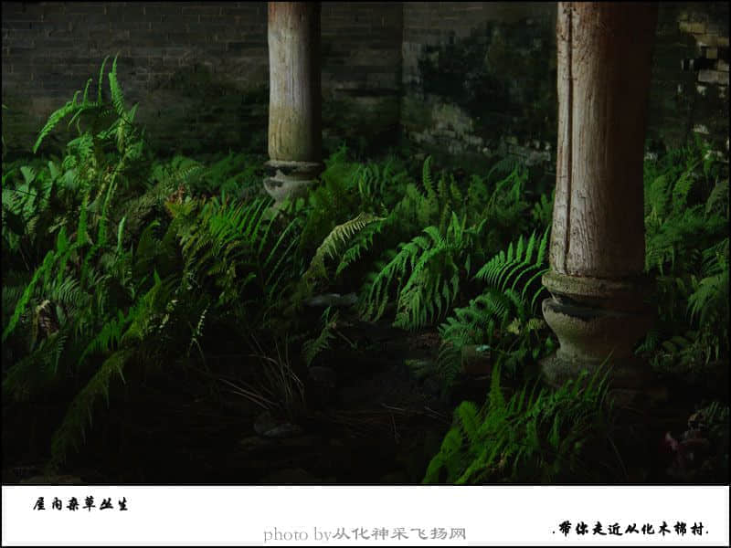 未标题-7.jpg