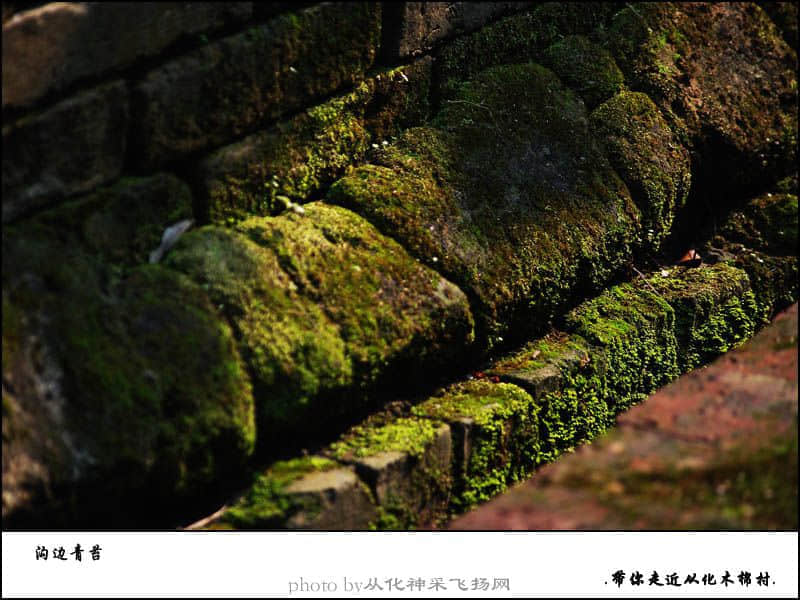 未标题-11.jpg