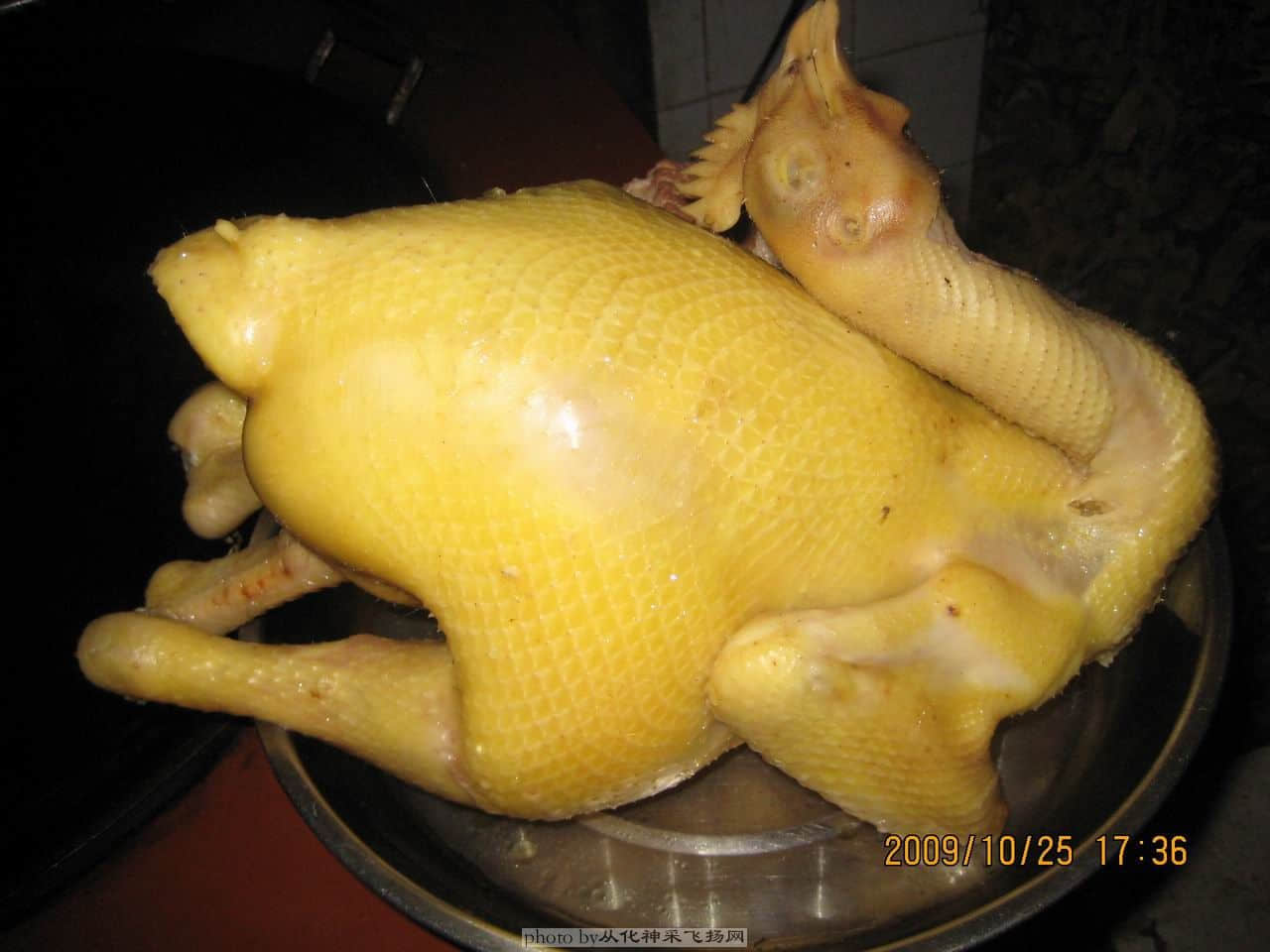 自家走地鸡