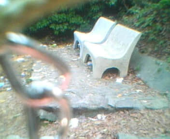 IMG0115A.jpg