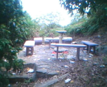 IMG0119A.jpg
