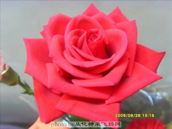 SDC12060_副本.jpg