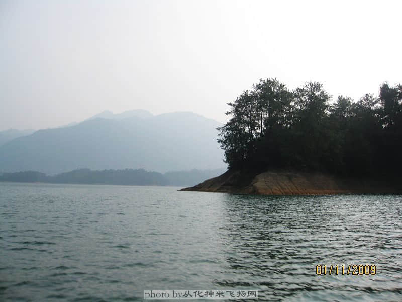 IMG_8165.jpg
