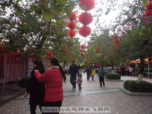 P1110413.JPG