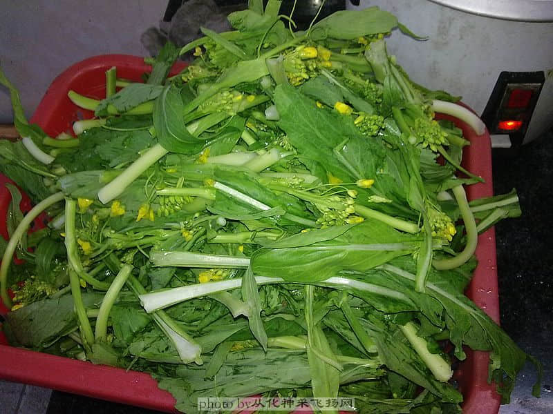 201001095700.jpg