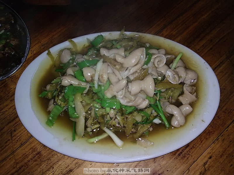 201001245921.jpg
